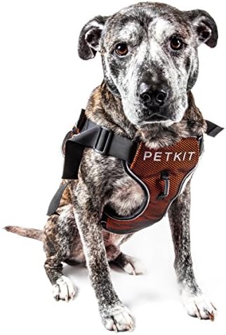 Шлейка за кучета PETKIT AIR с четири Връзки, за Компресиране на гърдата и Светоотражающая Шлейка Премиум-клас от защитна мрежа за домашни любимци, Голяма, Оранжева и син