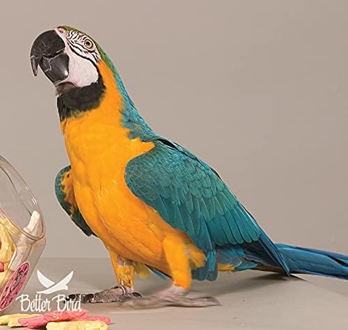 Най-добрата Птици, Храна за Папагали Премиум-клас, банка тегло от 4 килограма