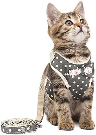 Комплект от колан за котки AVSAMOQ и каишка за разходка, който предпазва от Издънки, Подвижната Градинска яке Easy Control за коте