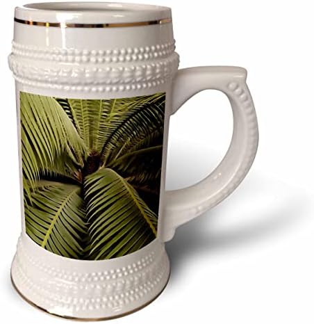 3дРоза Дионовидной тропически палми Арт - чаша за стейна на 22 унция (stn-362590-1)